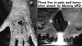 Thumbnail for version as of 01:39, 28 August 2024