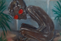 Thumbnail for version as of 16:37, 30 July 2023