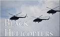 Thumbnail for version as of 03:35, 3 August 2025