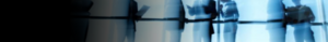 Header Shadow Government.png