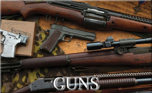 Category Guns.png