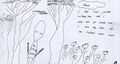 Ariel-student-drawing 03