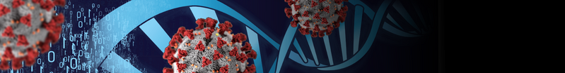 File:Header Covid19.png