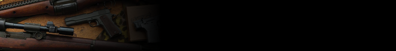 File:Header Guns.png