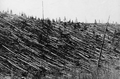 Thumbnail for version as of 16:12, 30 July 2023